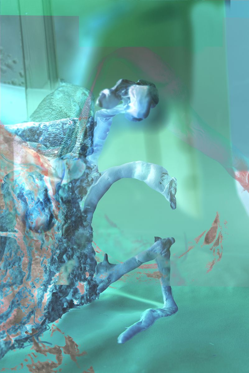 © Camila Rodrigo - mycelium, photograph altered with dyes obtained from various spores