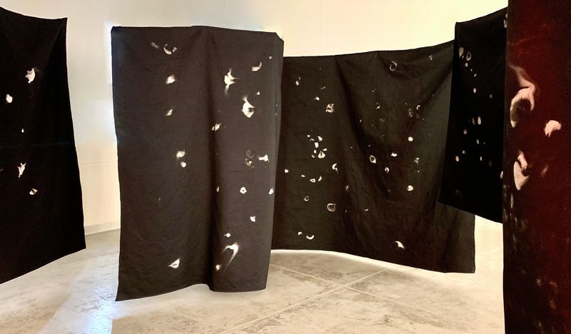 © Camila Rodrigo - Spore stamps I on 12 meter cloth.