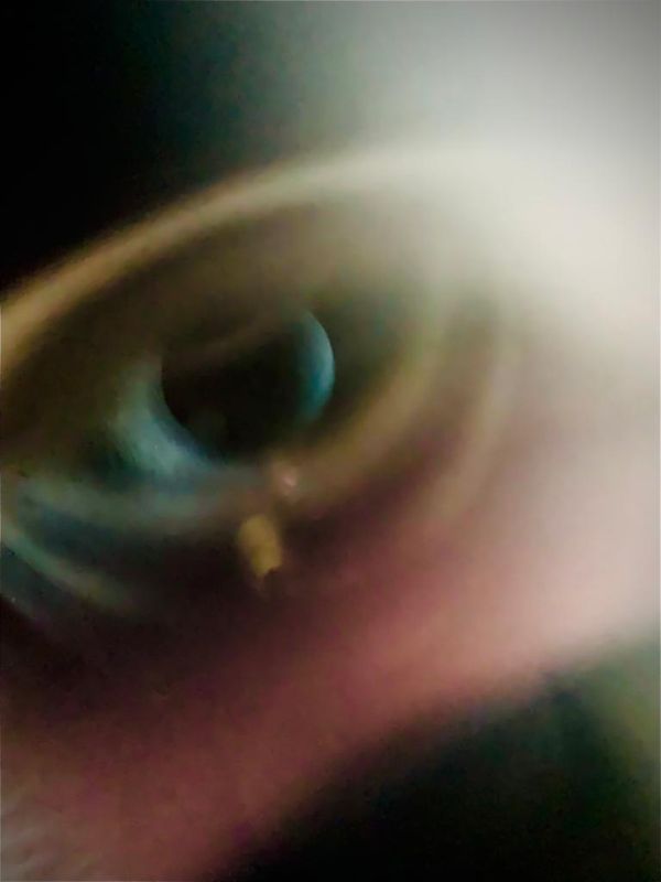 © Camila Rodrigo - Trying to see the imperceptible.