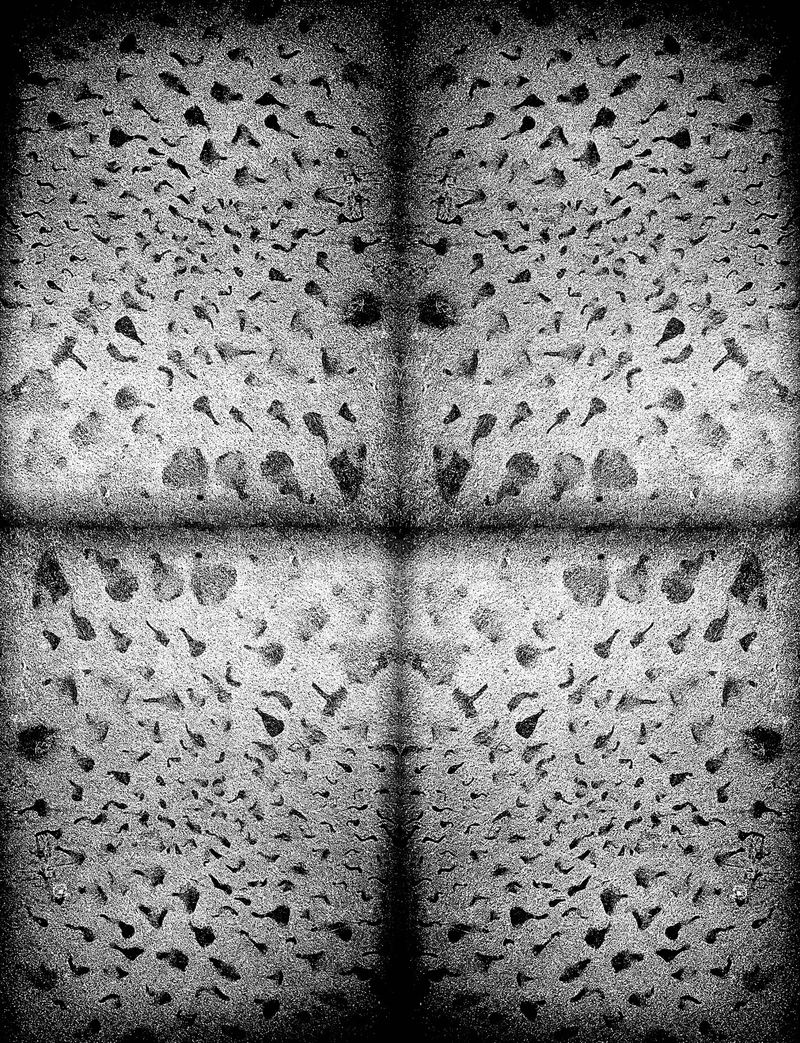 © Camila Rodrigo - New states of mind.