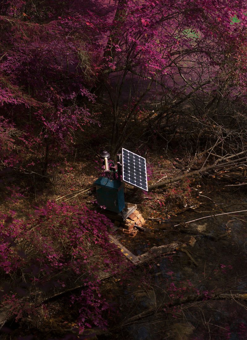 © Shane Lim - eden - chengdu, china