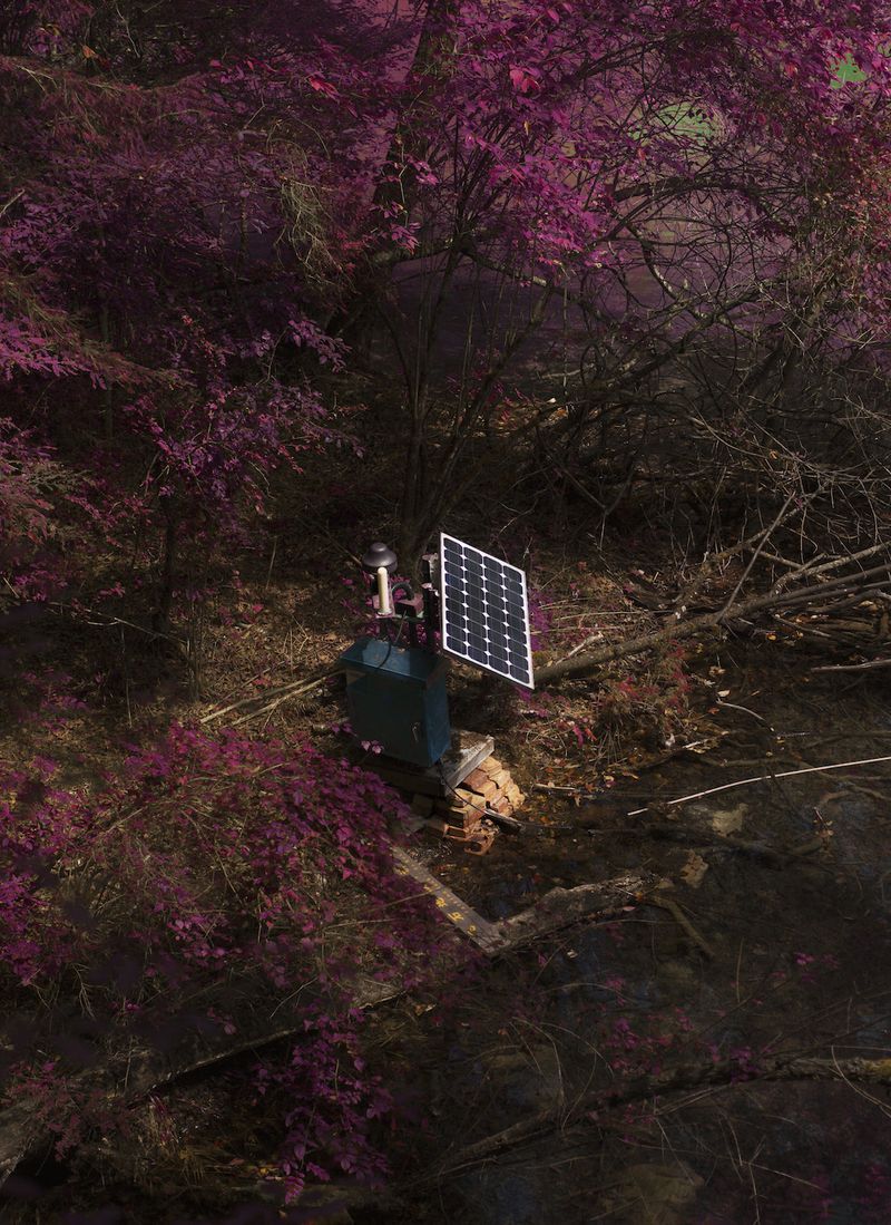 © Shane Lim - eden - chengdu, china