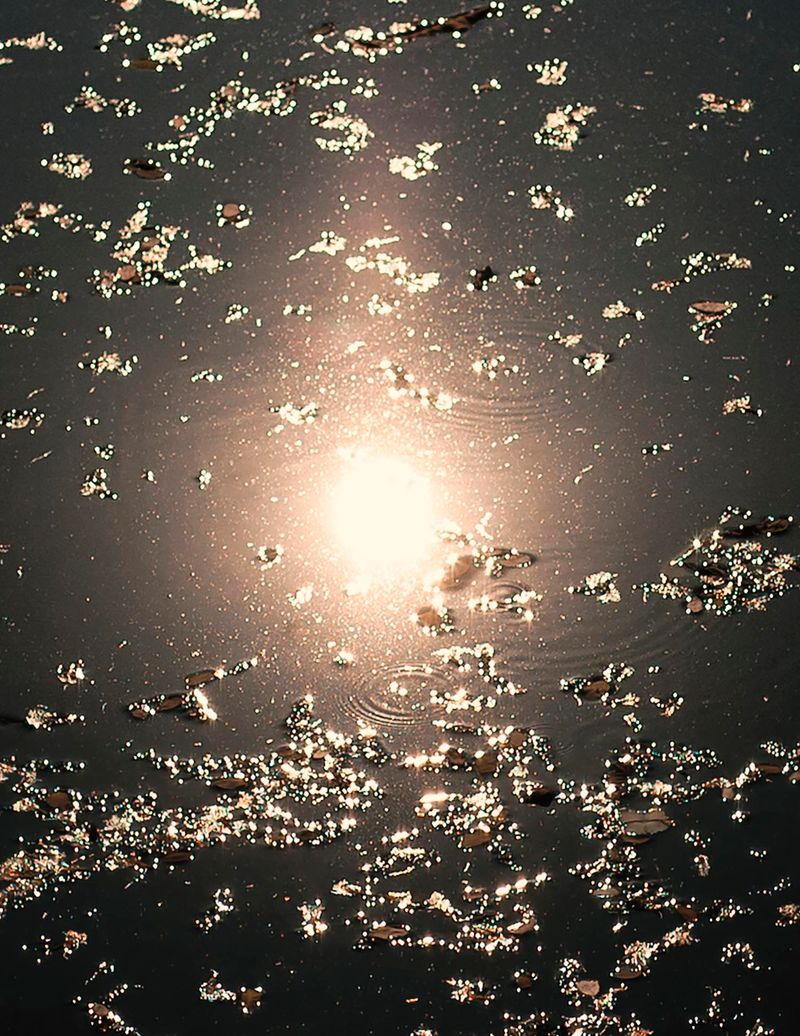 © Shane Lim - Image from the the future is hyperreal photography project