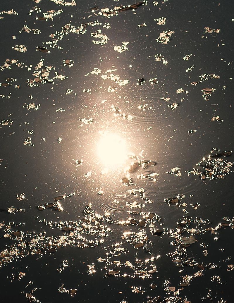 © Shane Lim - Image from the the future is hyperreal photography project