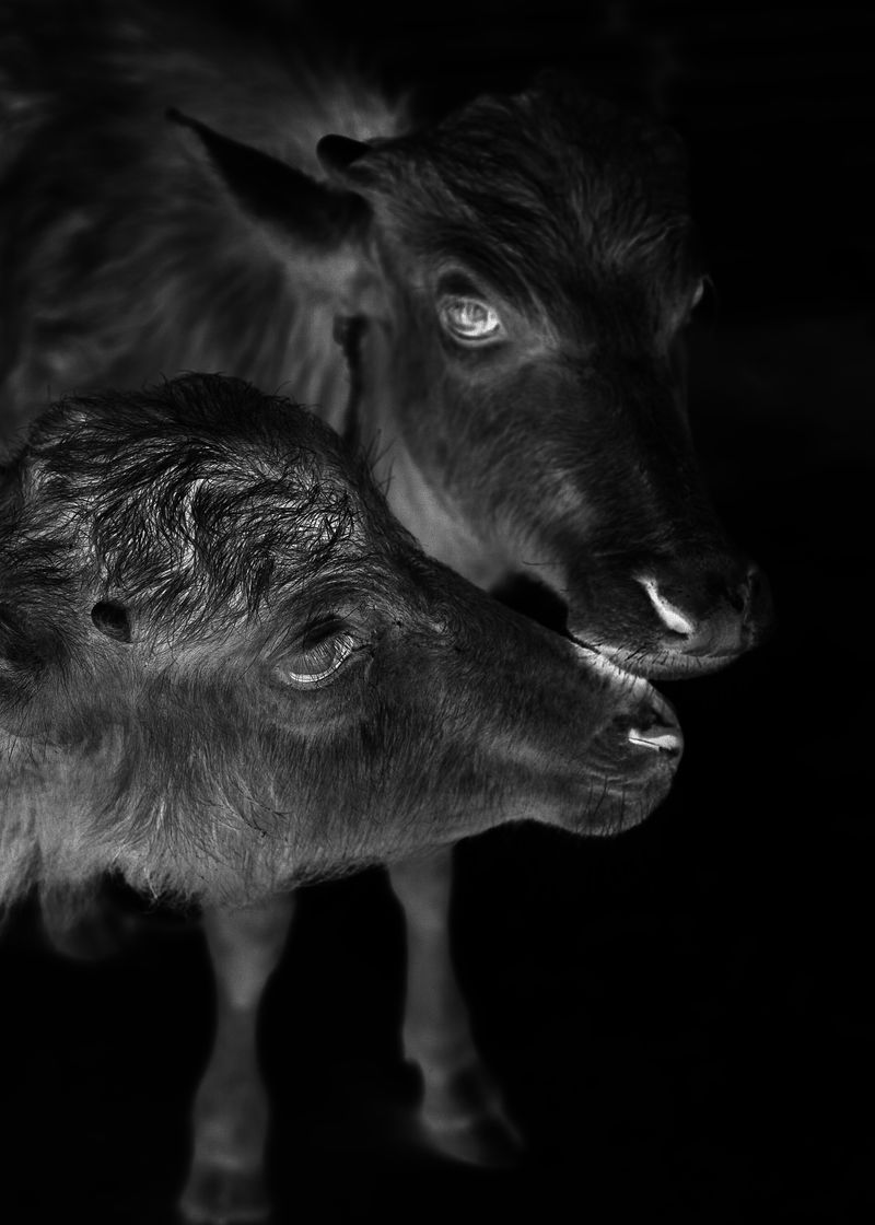 © Shane Lim - on the invocation of lucifer - Medellín, Colombia