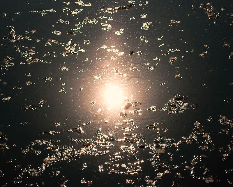 © Shane Lim - akasha - angkor wat, cambodia