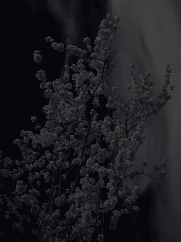 © Shane Lim - Image from the the future is hyperreal photography project