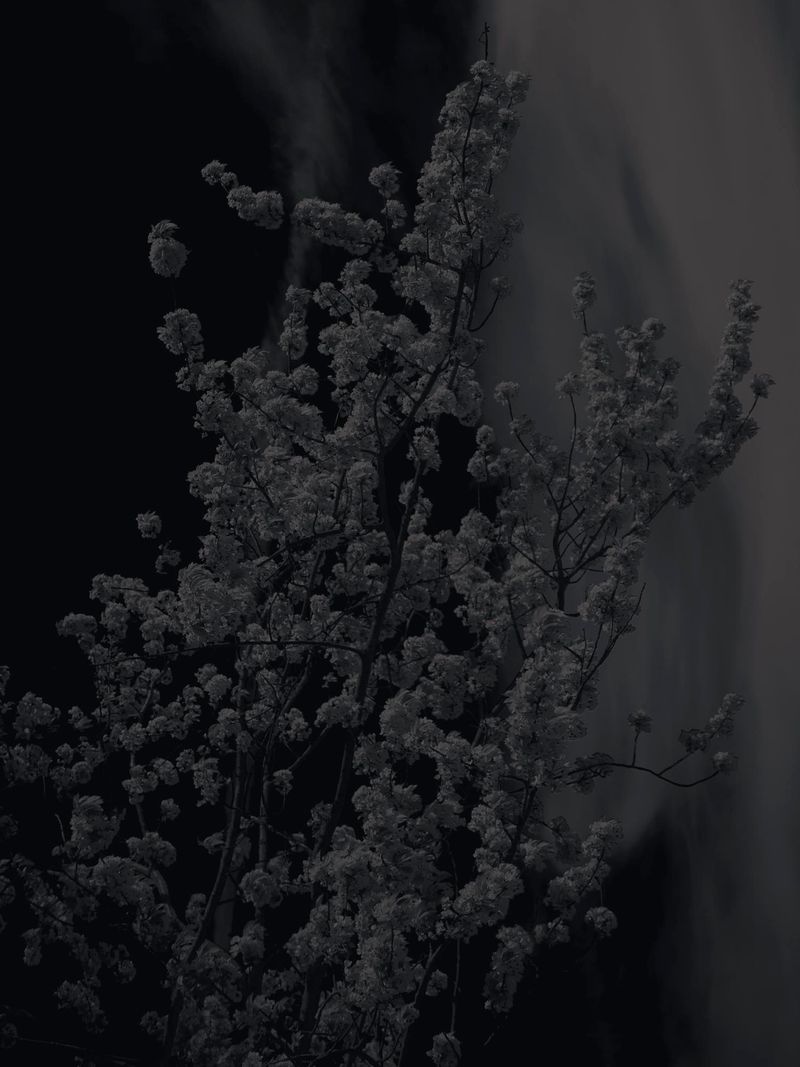 © Shane Lim - Image from the the future is hyperreal photography project