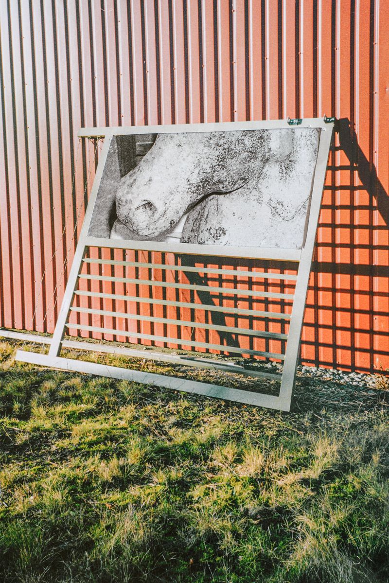 © Stefano Conti - Image from the When I killed your tulips photography project