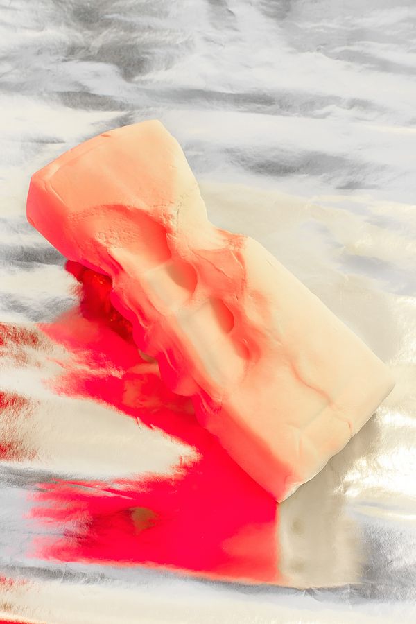 © Stefano Conti - Image from the When I killed your tulips photography project