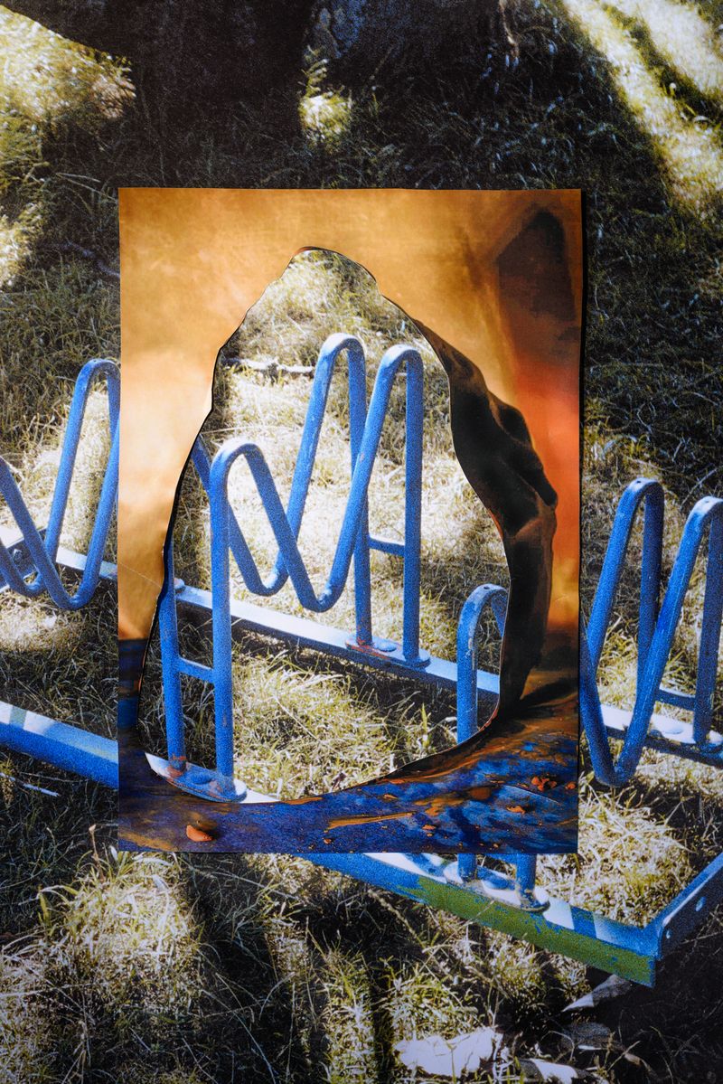 © Stefano Conti - Image from the When I killed your tulips photography project