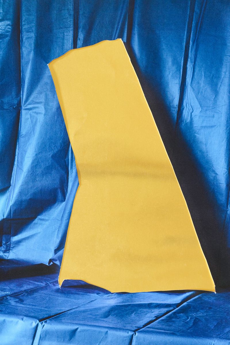 © Stefano Conti - Image from the When I killed your tulips photography project