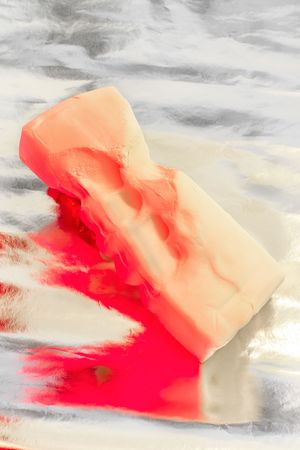 When I killed your tulips