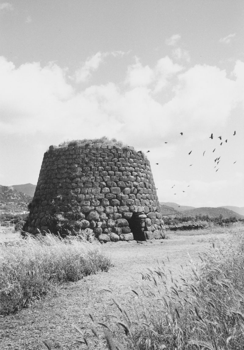 © Stefano Conti - Image from the Teach me how you designed these creatures photography project