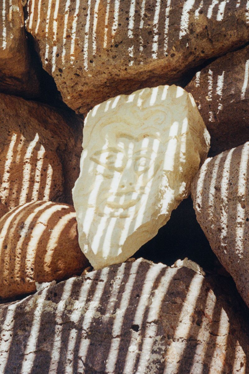 © Stefano Conti - Image from the Teach me how you designed these creatures photography project