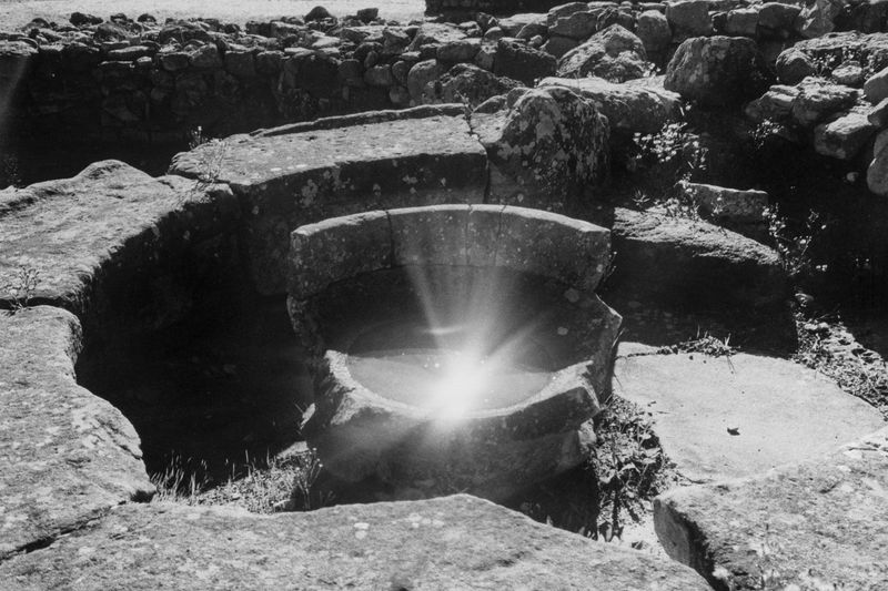 © Stefano Conti - Image from the Teach me how you designed these creatures photography project