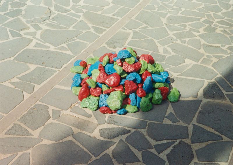 © Stefano Conti - Image from the Teach me how you designed these creatures photography project