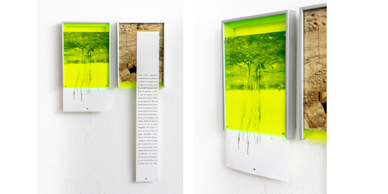 © Stefano Conti - Silver gelatin print, chromogenic print, laser print, aluminium frame, museum glass, plexiglass, magnets.
