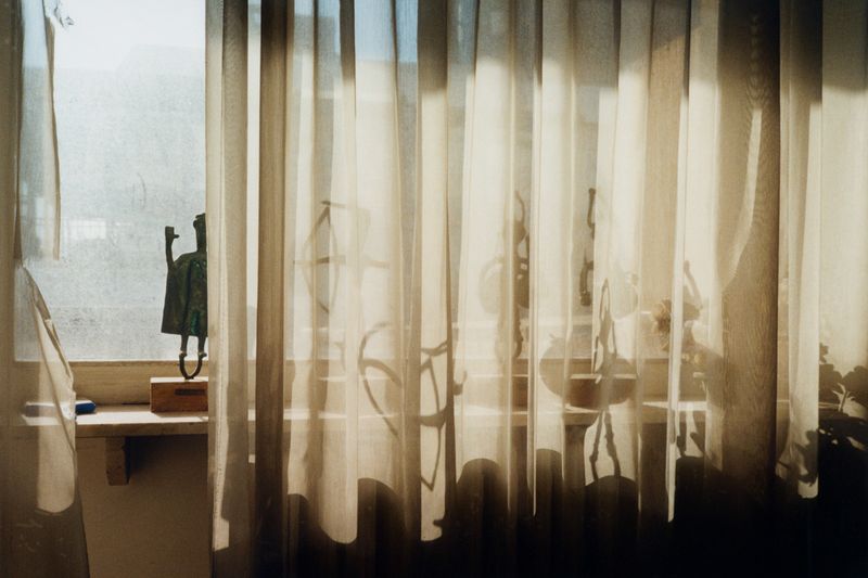 © Stefano Conti - Image from the Teach me how you designed these creatures photography project