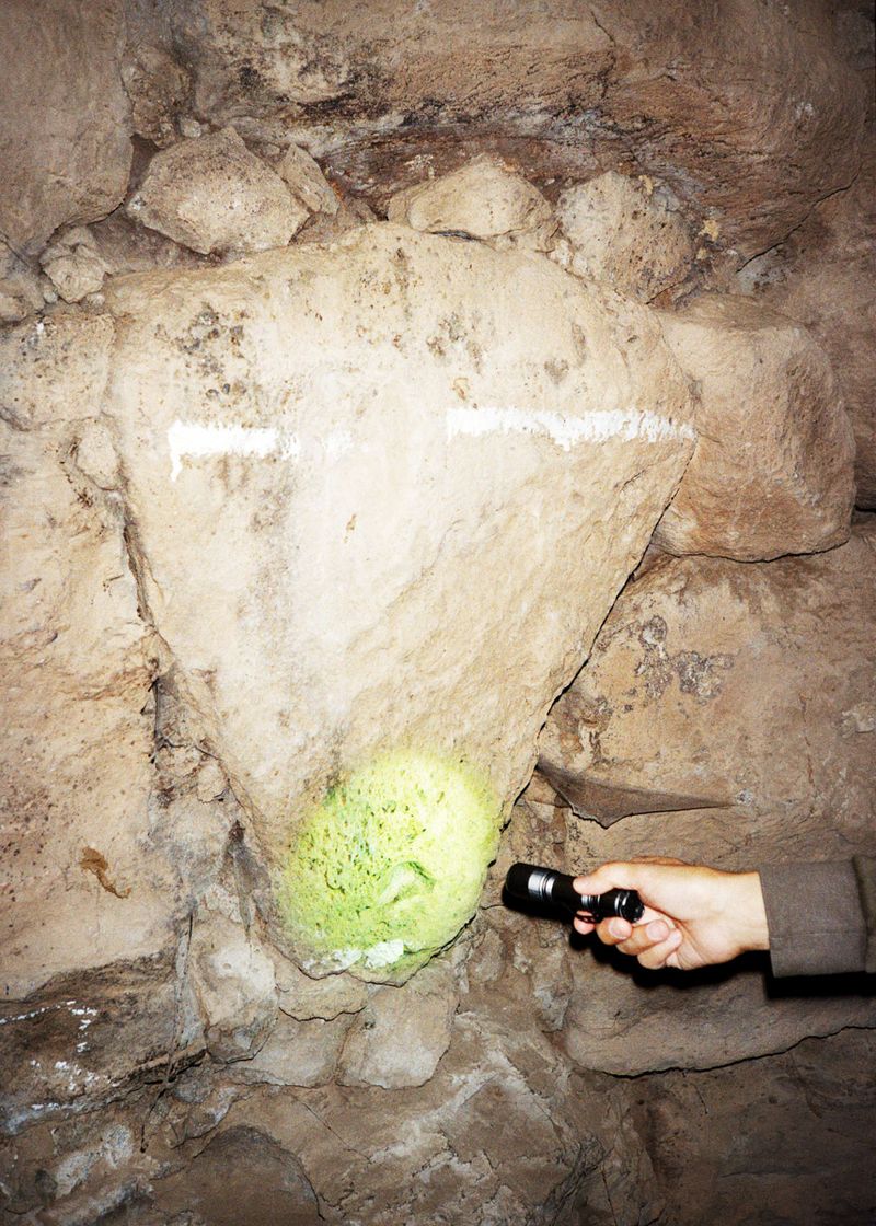 © Stefano Conti - Image from the Teach me how you designed these creatures photography project