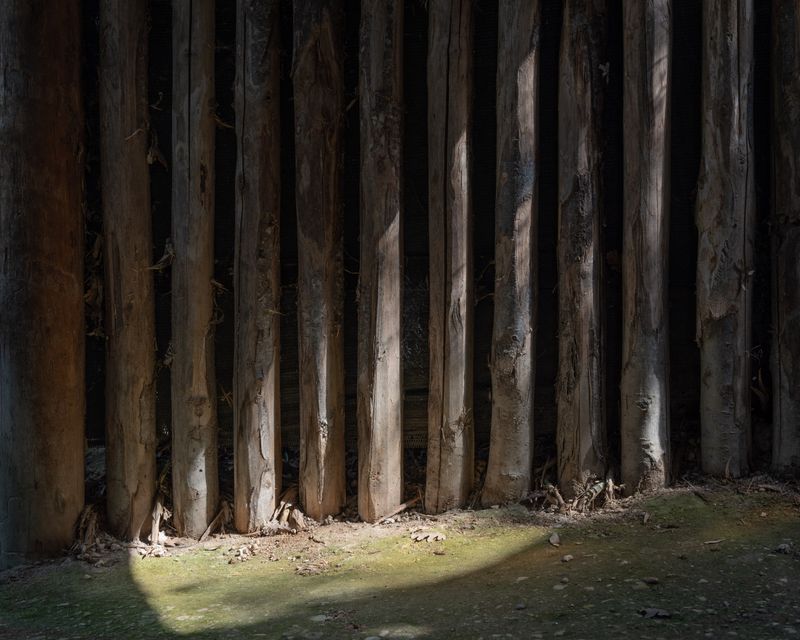 © Annalaura Cattelan - 07 - Part of the fence surrounding the sunlit park. (Parco Natura Viva, Bussolengo, VR)