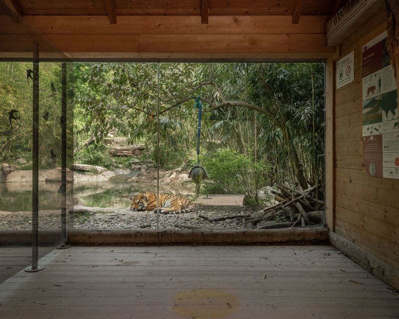© Annalaura Cattelan - Image from the Since Your Gaze Is Gone photography project