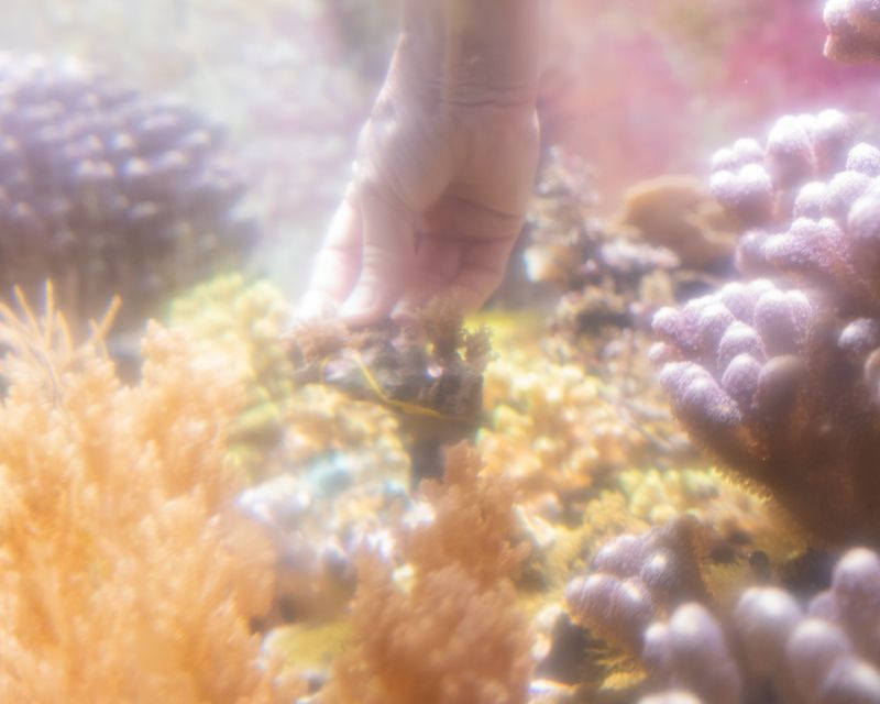 © Annalaura Cattelan - Image from the Since Your Gaze Is Gone photography project