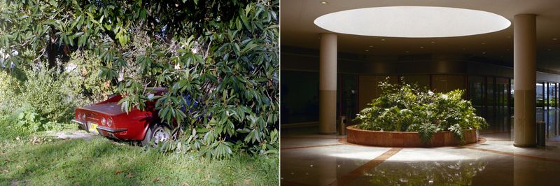 © Doron Oved - Untitled, 2014-2012, analogue photograph