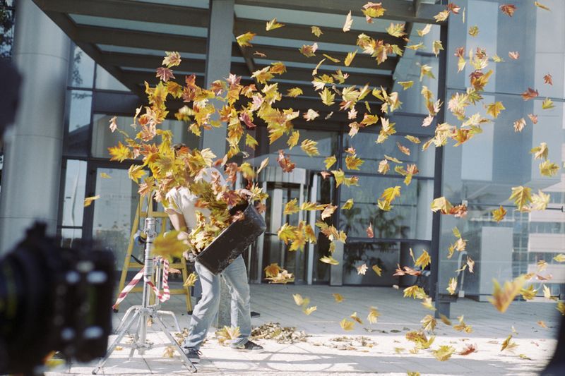 © Doron Oved - Autumn Leaves