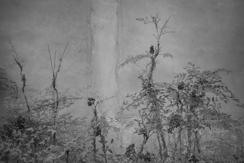 © Doron Oved - Untitled, 2016