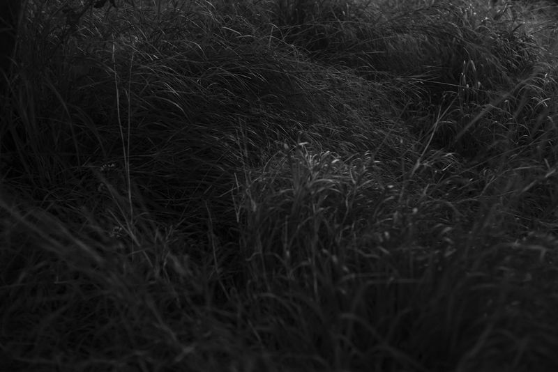 © Doron Oved - Untitled, 2016
