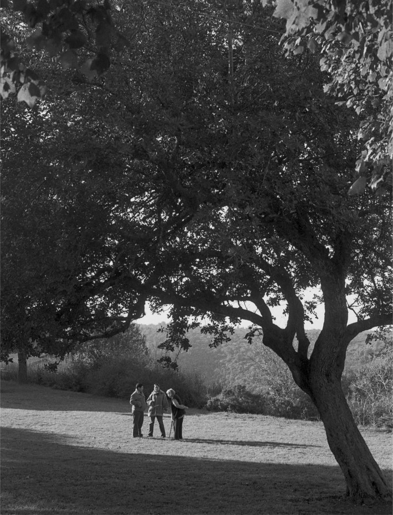 © Doron Oved - Three generations, 2008