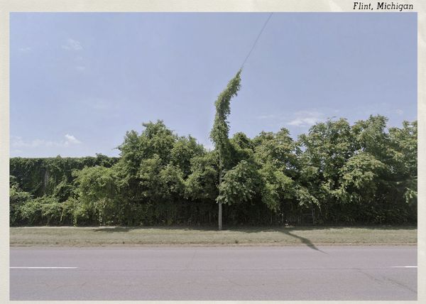 © Graeme Williams - Image from the Postcards from Home photography project