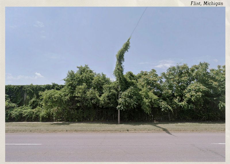 © Graeme Williams - Image from the Postcards from Home photography project