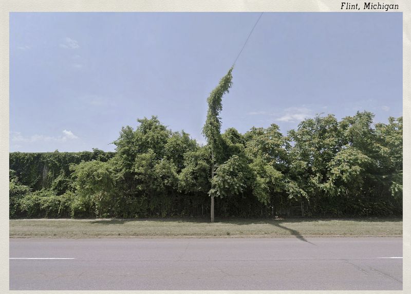 © Graeme Williams - Image from the Postcards from Home photography project