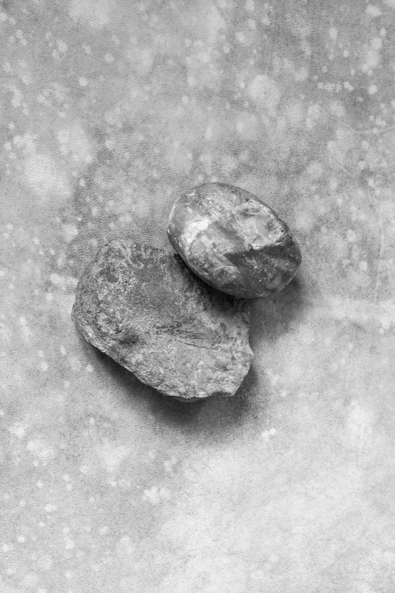 © chiara pavolucci - Image from the Should we dwell on transience? photography project