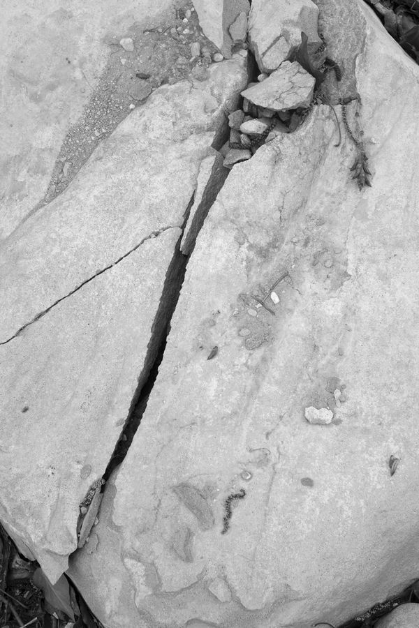 © chiara pavolucci - Image from the Should we dwell on transience? photography project
