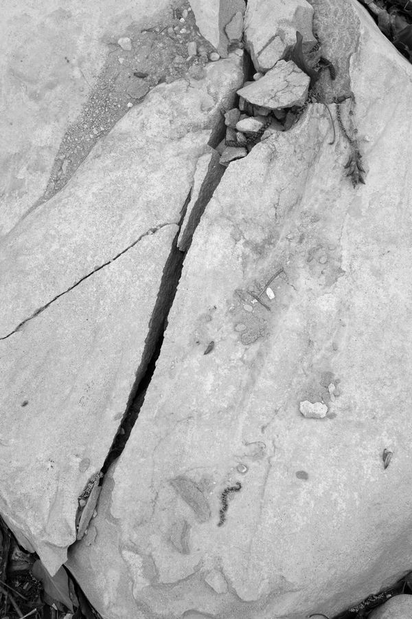 © chiara pavolucci - Image from the Should we dwell on transience? photography project