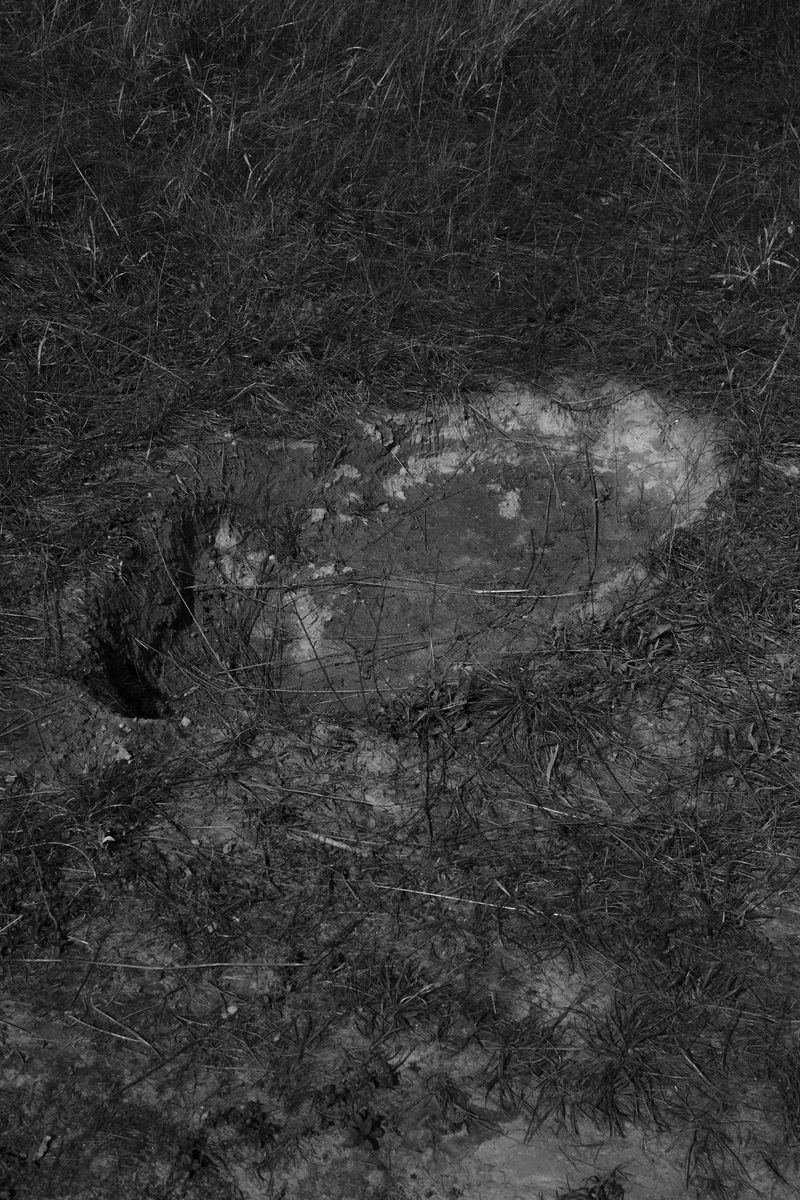 © chiara pavolucci - Image from the Should we dwell on transience? photography project