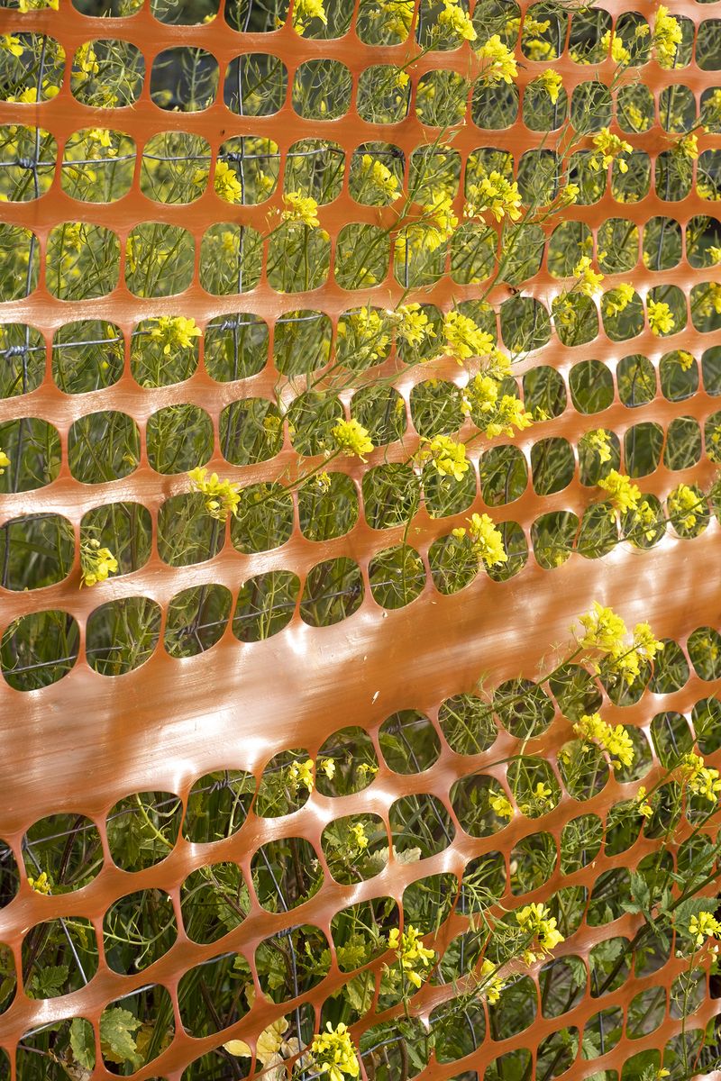 © chiara pavolucci - Image from the Walking Marginal photography project