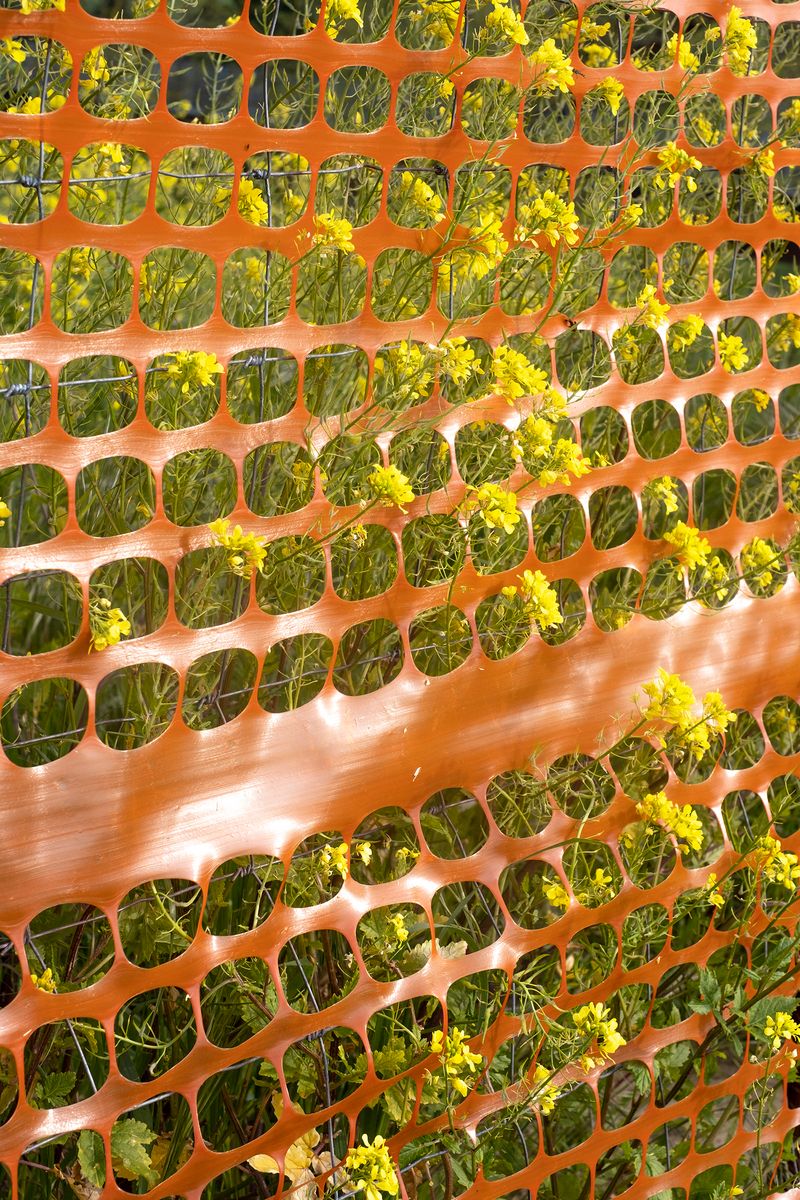 © chiara pavolucci - Image from the Walking Marginal photography project