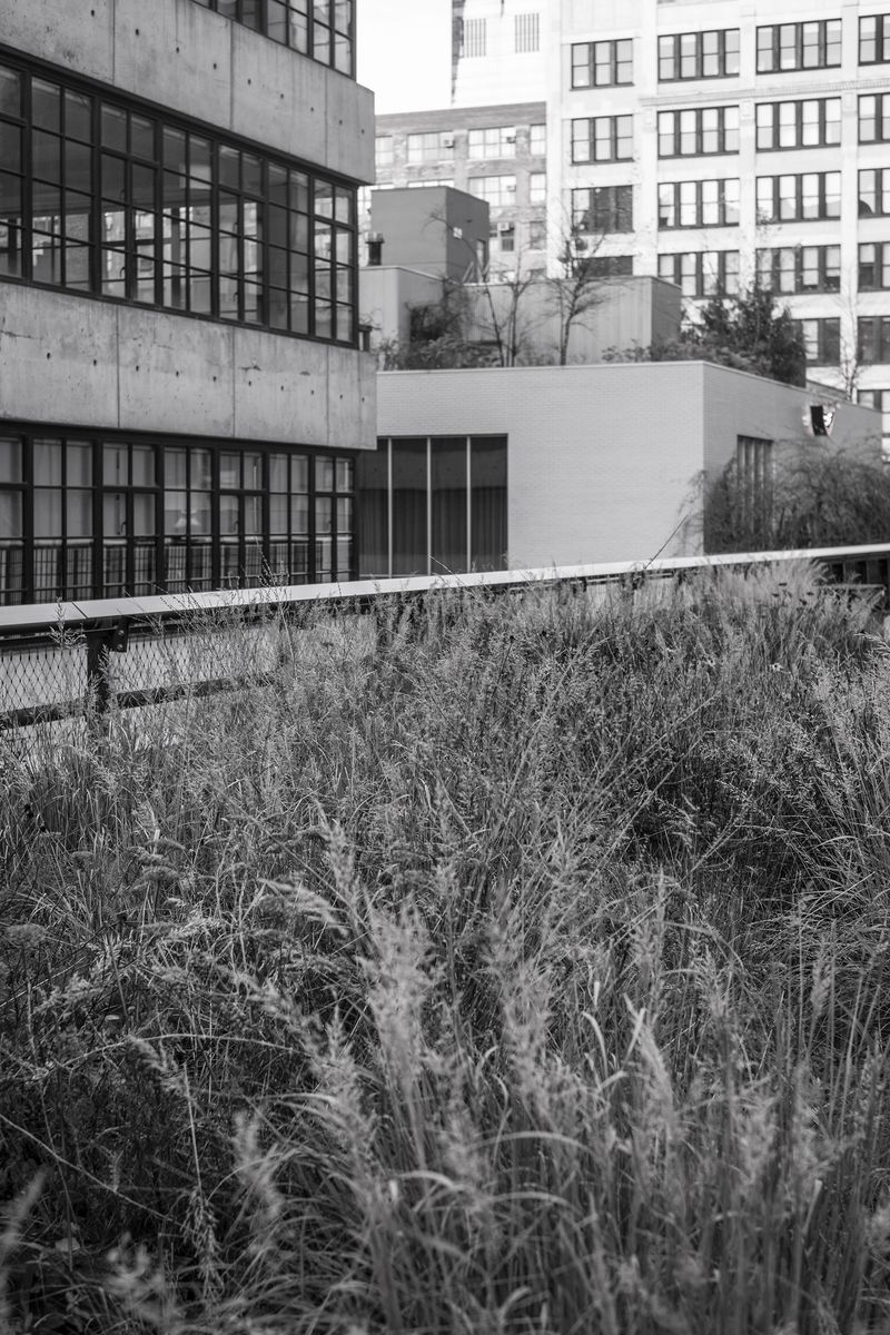 © chiara pavolucci - Image from the Walking Marginal photography project