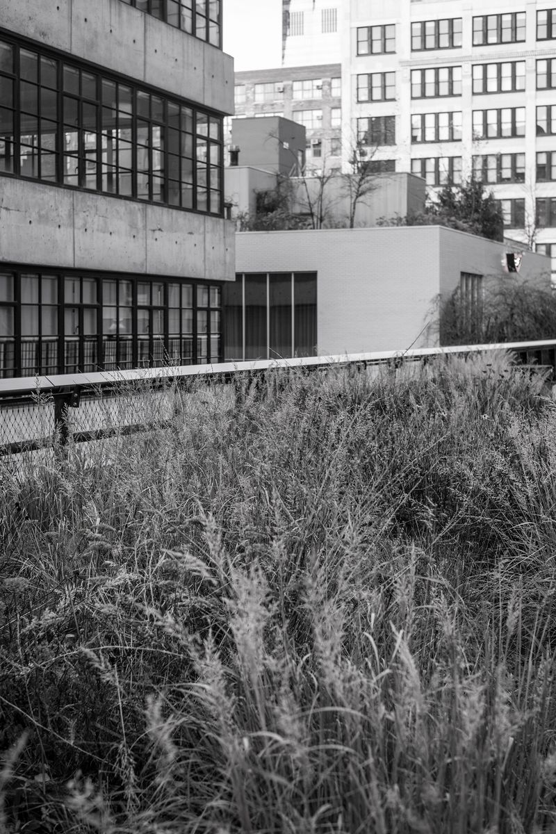 © chiara pavolucci - Image from the Walking Marginal photography project