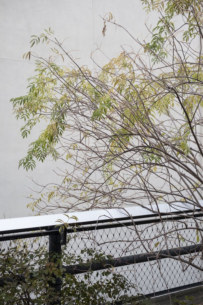 © chiara pavolucci - Image from the Walking Marginal photography project