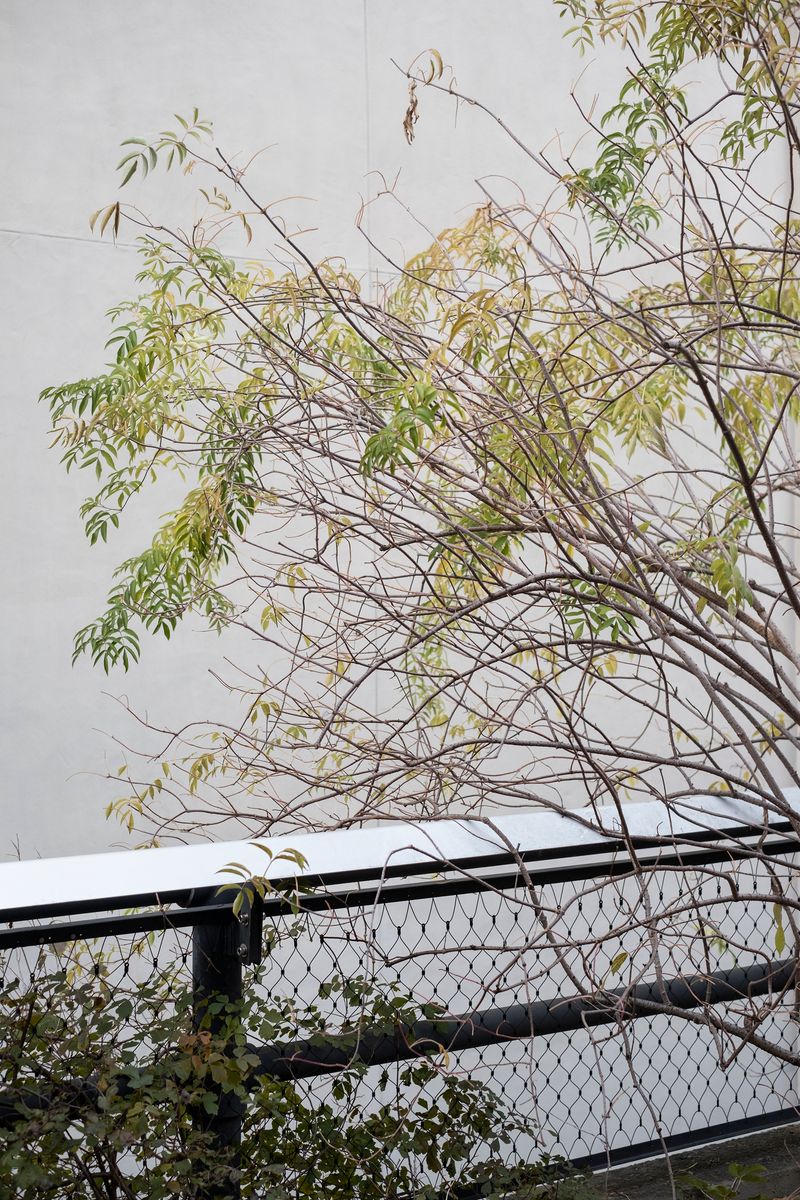 © chiara pavolucci - Image from the Walking Marginal photography project