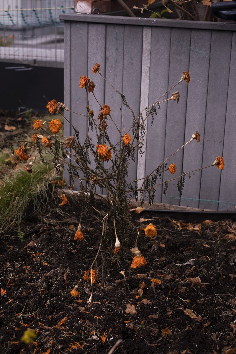 © chiara pavolucci - Image from the Walking Marginal photography project
