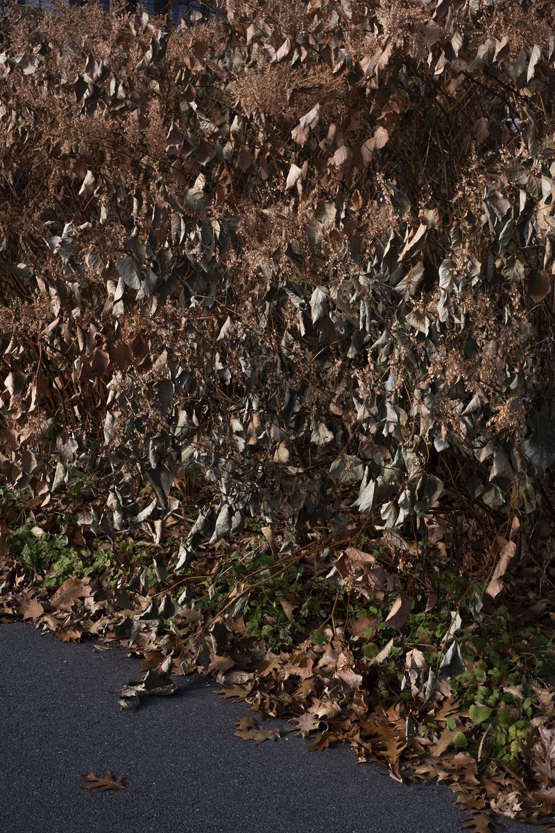 © chiara pavolucci - Image from the Walking Marginal photography project