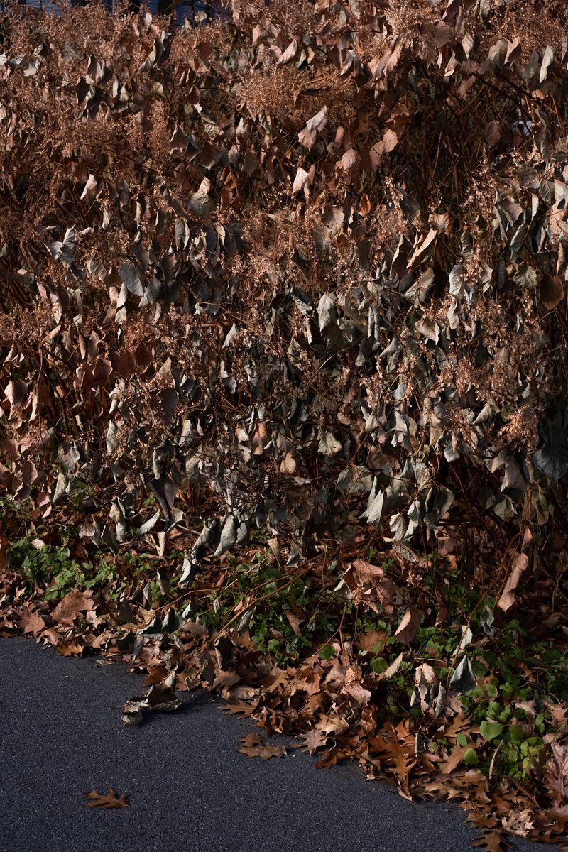 © chiara pavolucci - Image from the Walking Marginal photography project