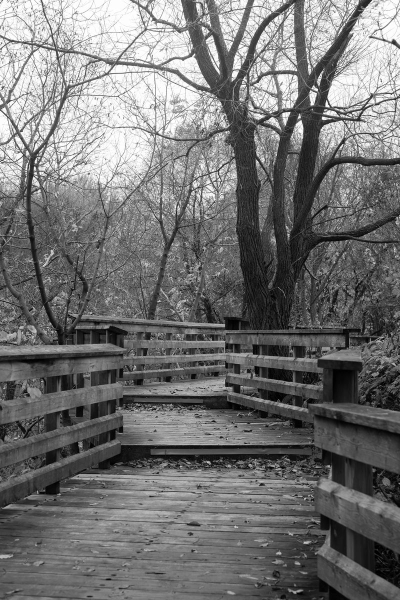 © chiara pavolucci - Image from the Walking Marginal photography project