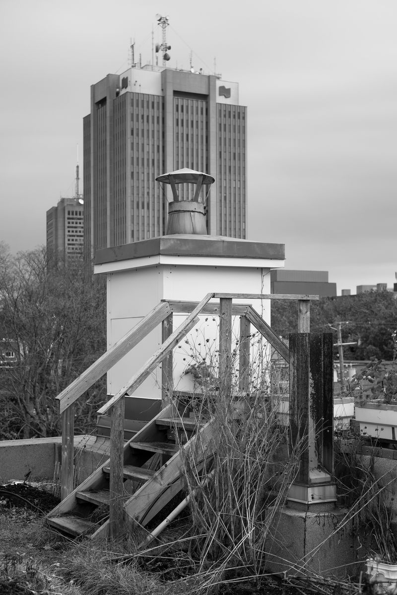 © chiara pavolucci - Image from the Walking Marginal photography project